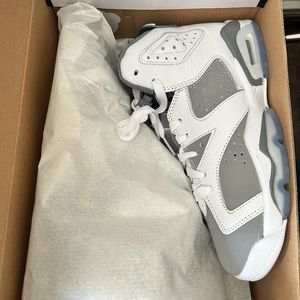Cool grey 6s